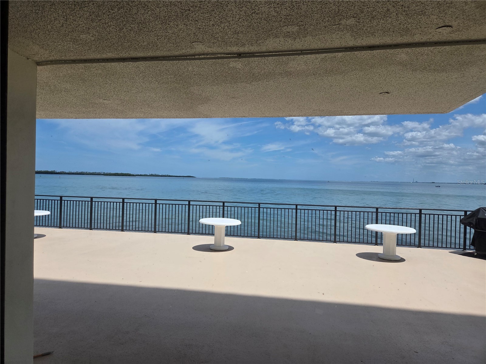 9 Haig Place #405 Dunedin FL 34698 TB8517728 image20