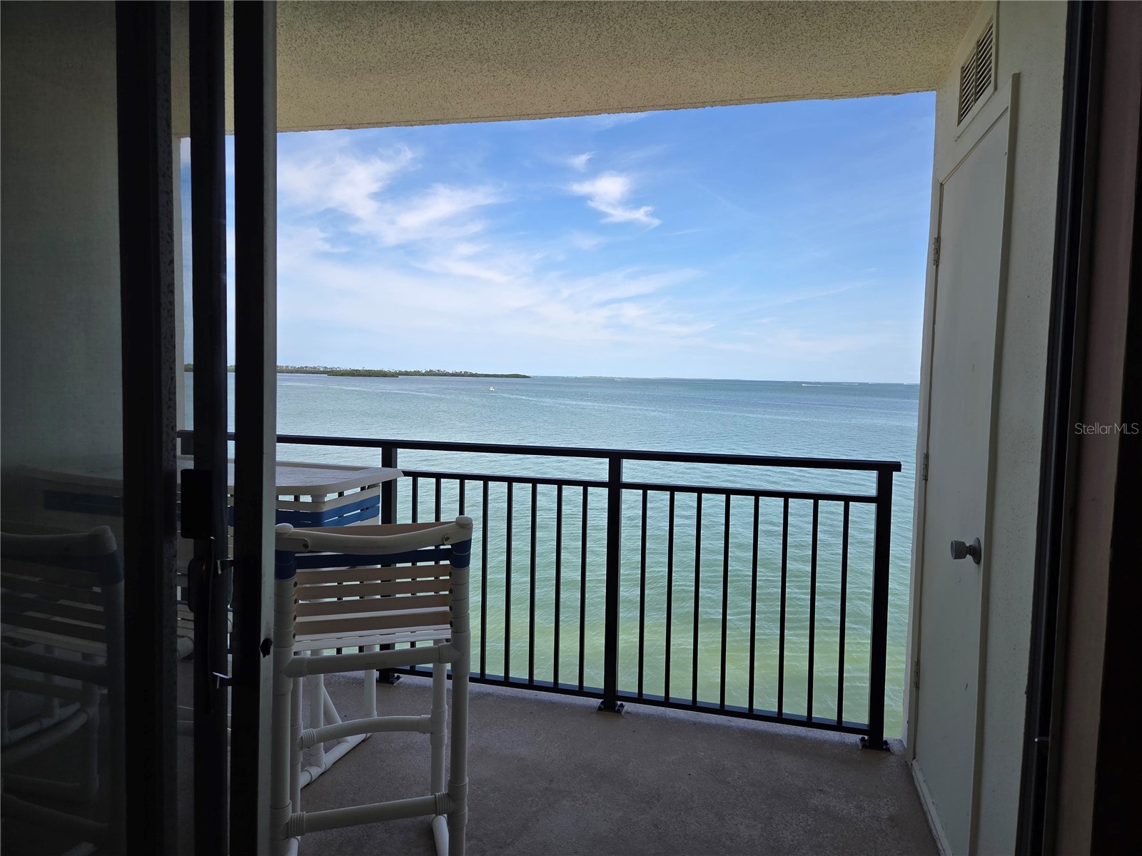 9 Haig Place #405 Dunedin FL 34698 TB8517728 image3
