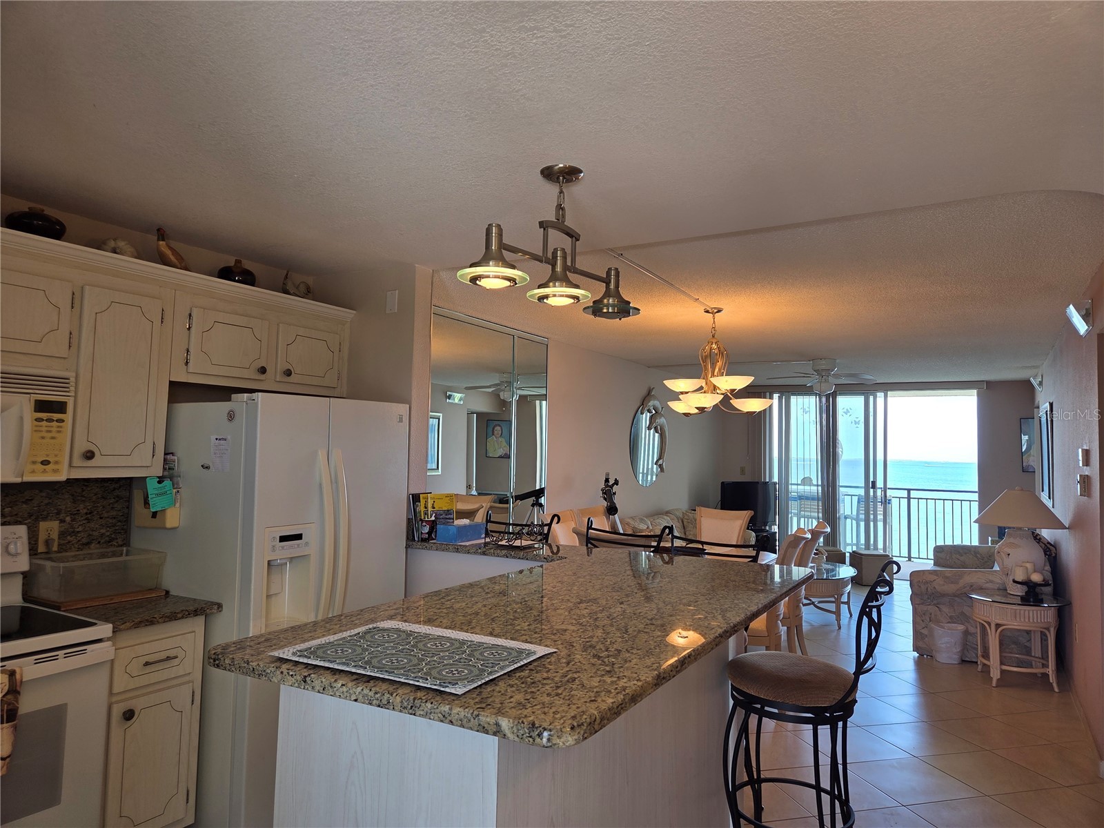 9 Haig Place #405 Dunedin FL 34698 TB8517728 image4