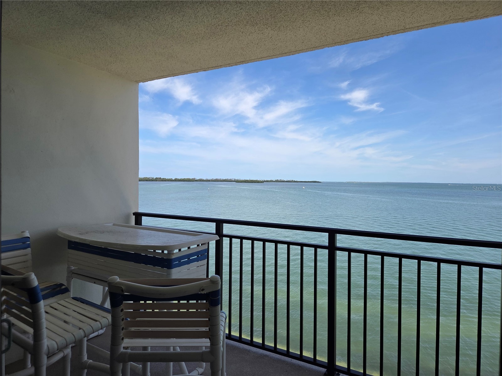 9 Haig Place #405 Dunedin FL 34698 TB8517728 image9
