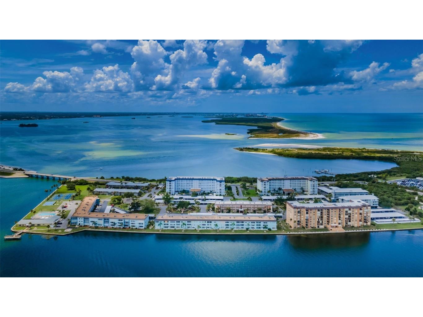 9 Haig Place #505 Dunedin FL 34698 U8218562 image1