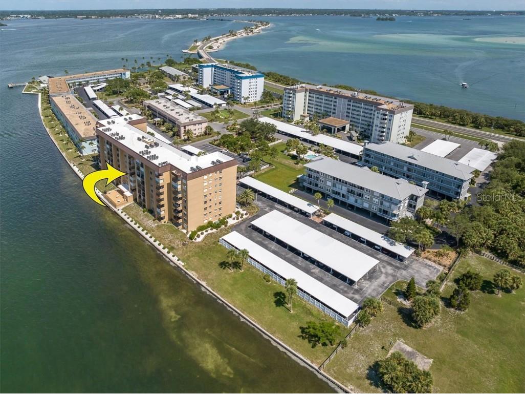 9 Haig Place #506 Dunedin FL 34698 U8207175 image1