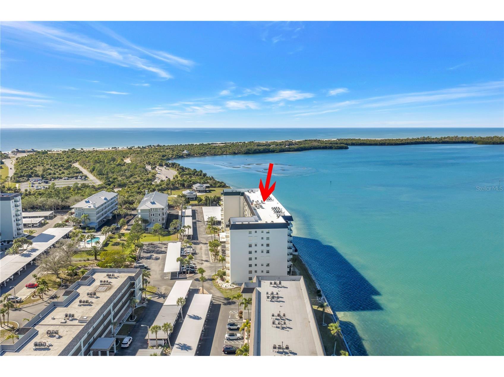 9 Haig Place #510 Dunedin FL 34698 - SAINT JOSEPH SOUND TB8464959 image32