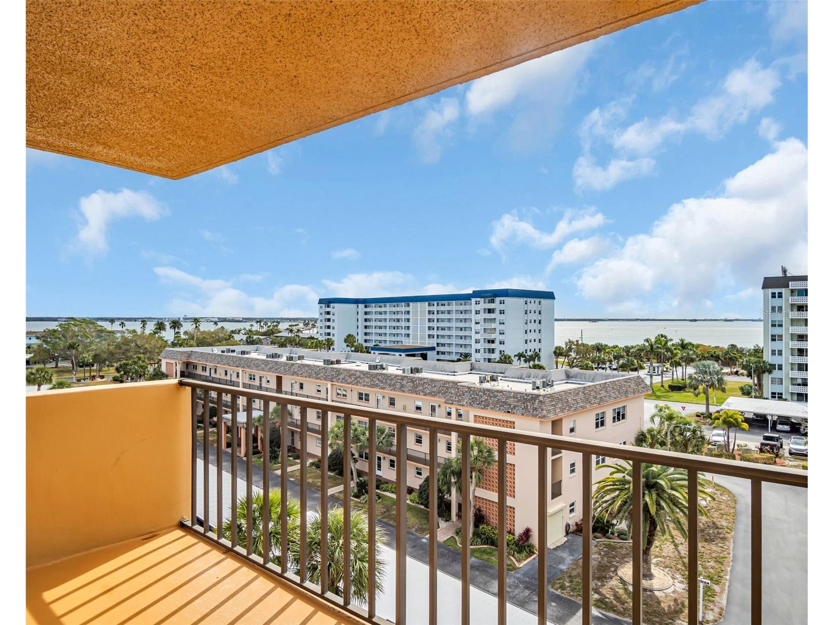 9 Haig Place #612 Dunedin FL 34698 TB8476364 image18