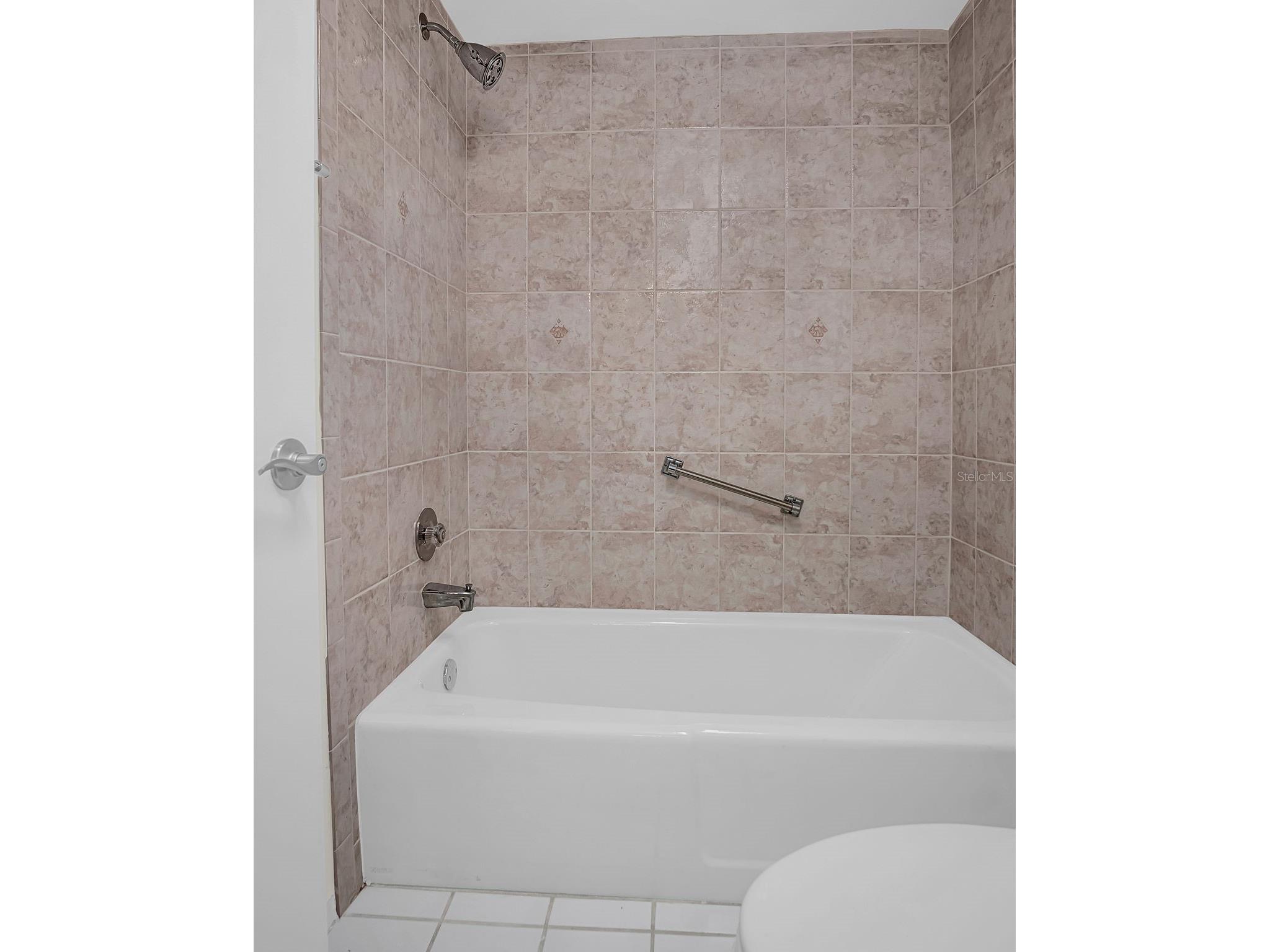 9 Haig Place #612 Dunedin FL 34698 TB8476364 image7