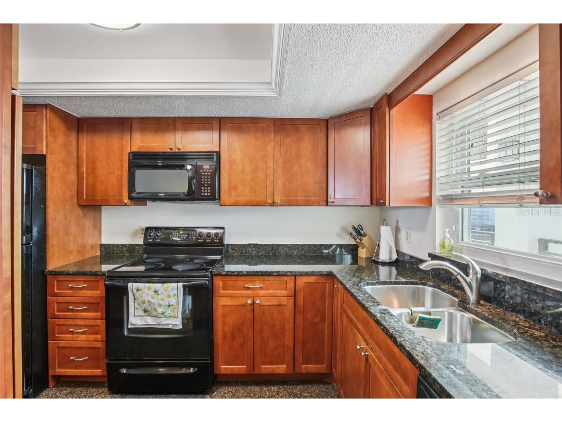 9 Haig Place #704 Dunedin FL 34698 TB8455842 image10