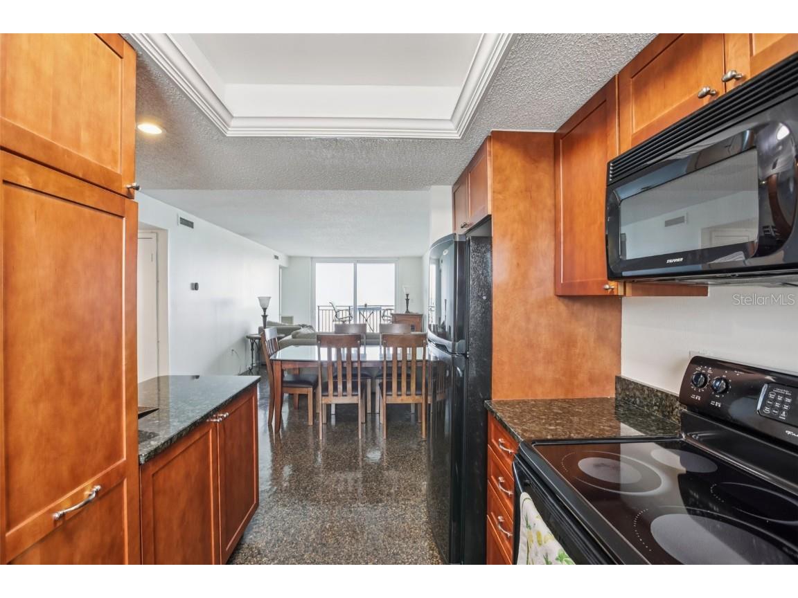 9 Haig Place #704 Dunedin FL 34698 TB8455842 image11