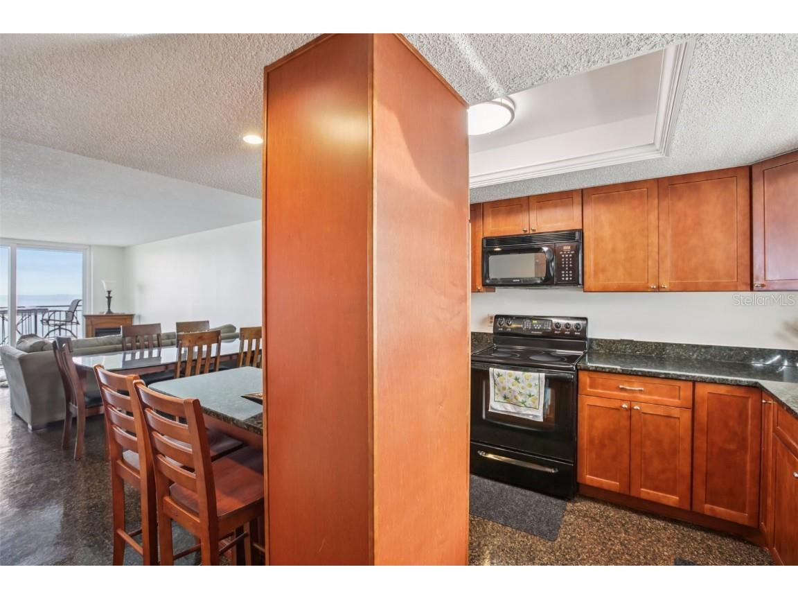 9 Haig Place #704 Dunedin FL 34698 TB8455842 image12