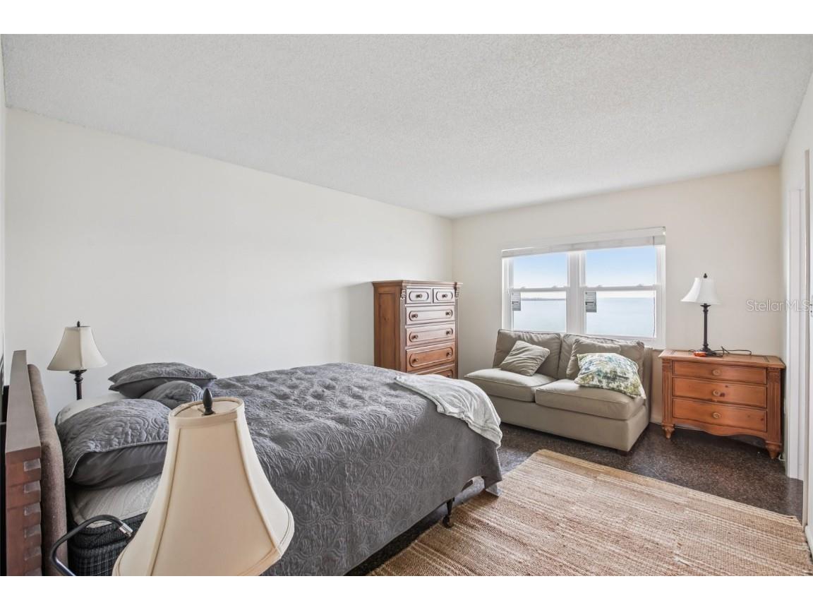 9 Haig Place #704 Dunedin FL 34698 TB8455842 image15