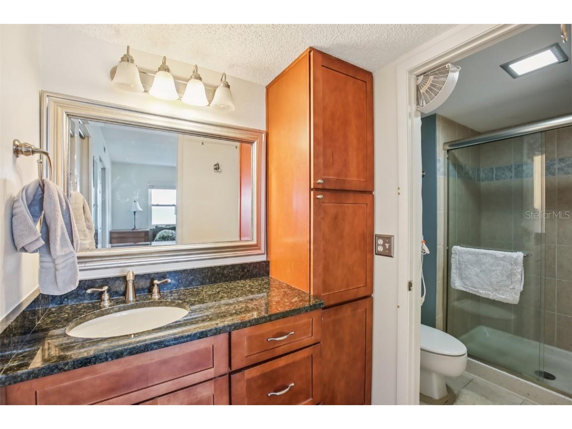 9 Haig Place #704 Dunedin FL 34698 TB8455842 image16