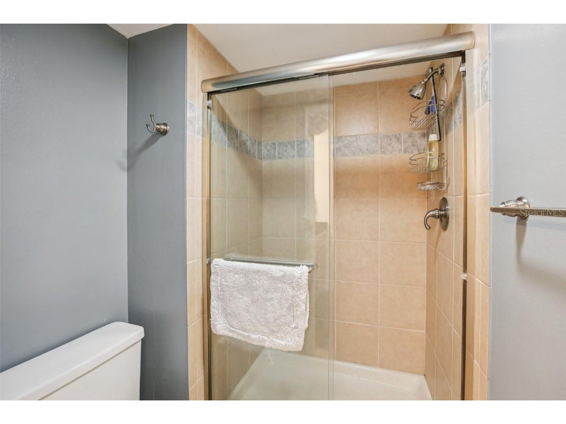 9 Haig Place #704 Dunedin FL 34698 TB8455842 image17
