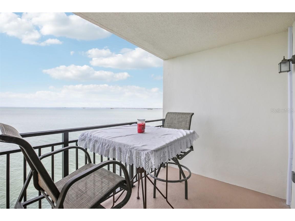 9 Haig Place #704 Dunedin FL 34698 TB8455842 image18