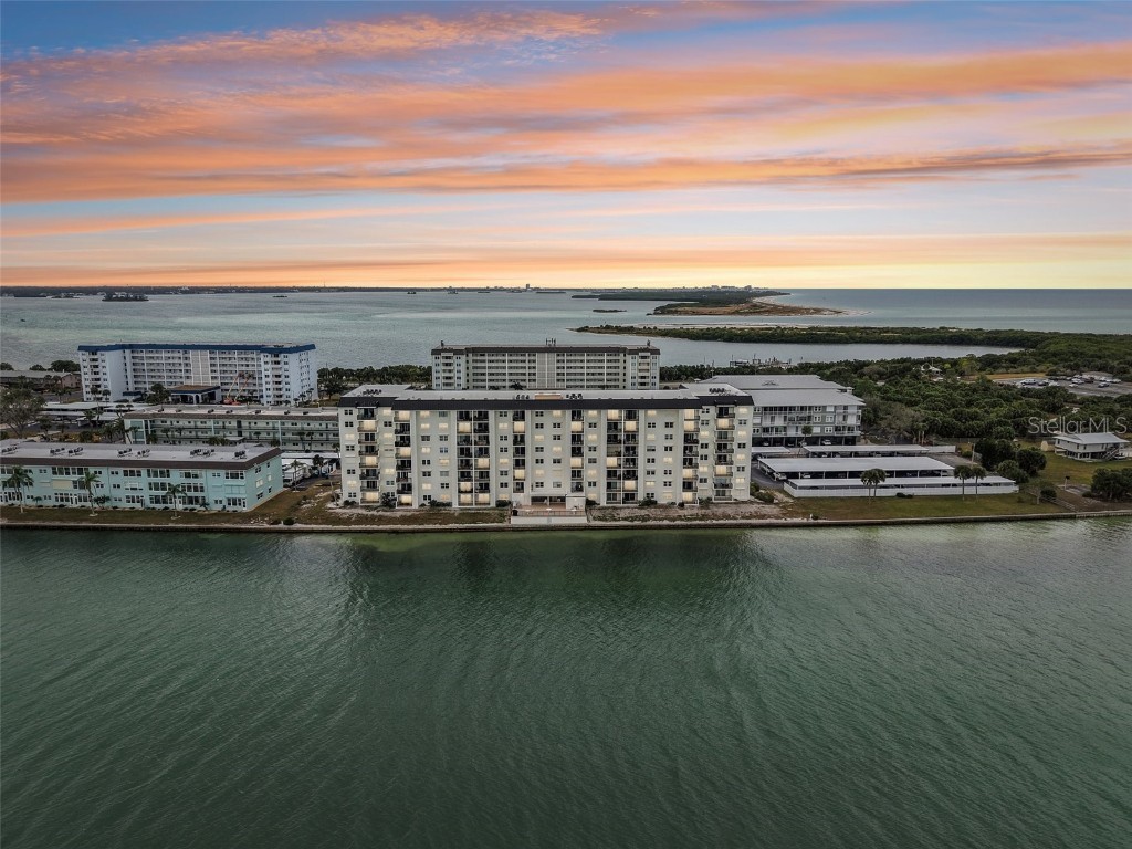 9 Haig Place #704 Dunedin FL 34698 TB8455842 image2