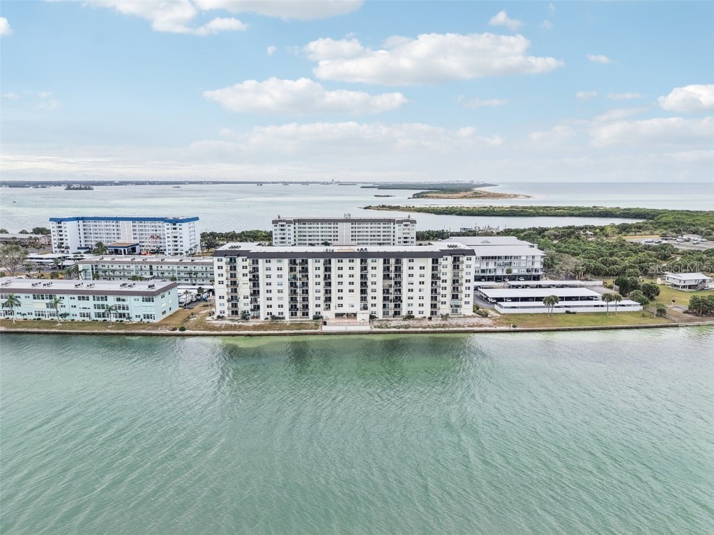 9 Haig Place #704 Dunedin FL 34698 TB8455842 image20
