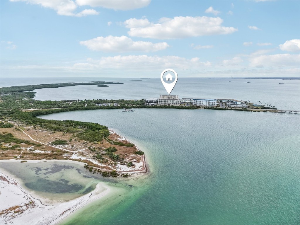 9 Haig Place #704 Dunedin FL 34698 TB8455842 image21