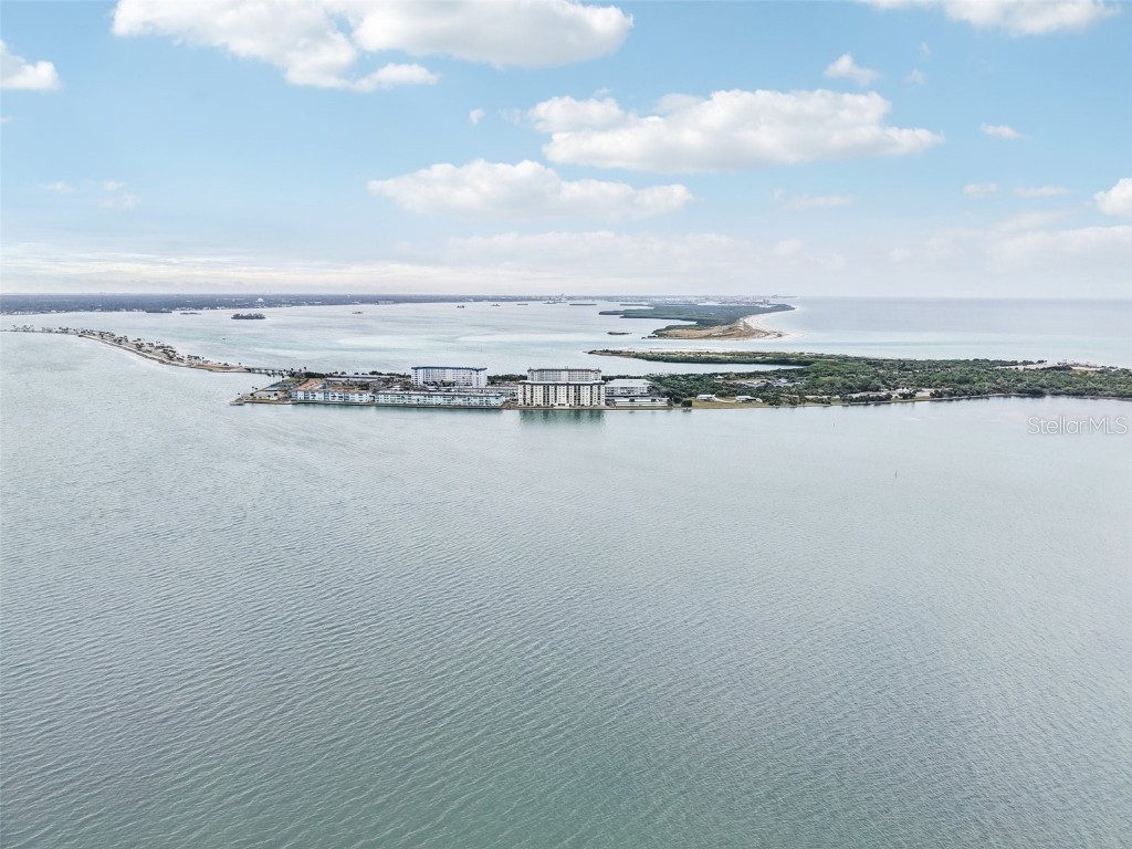 9 Haig Place #704 Dunedin FL 34698 TB8455842 image22