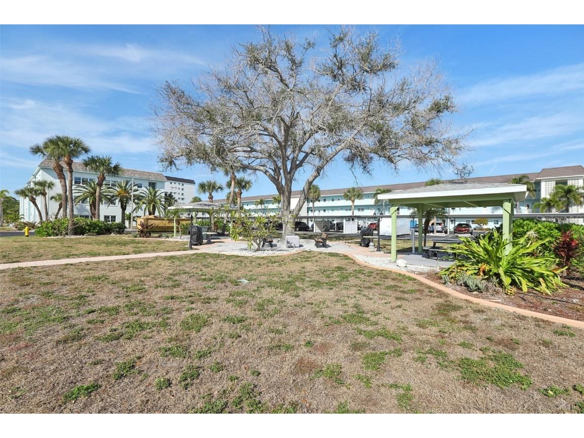9 Haig Place #704 Dunedin FL 34698 TB8455842 image23