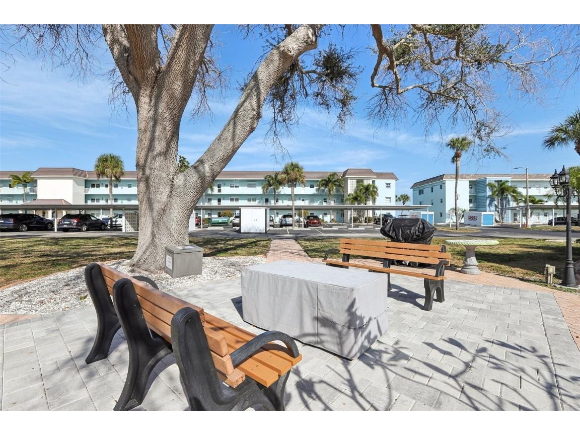 9 Haig Place #704 Dunedin FL 34698 TB8455842 image24