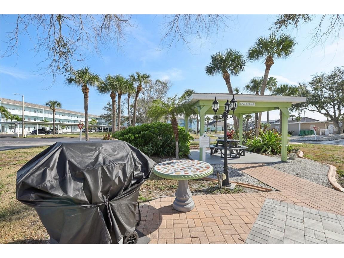 9 Haig Place #704 Dunedin FL 34698 TB8455842 image25