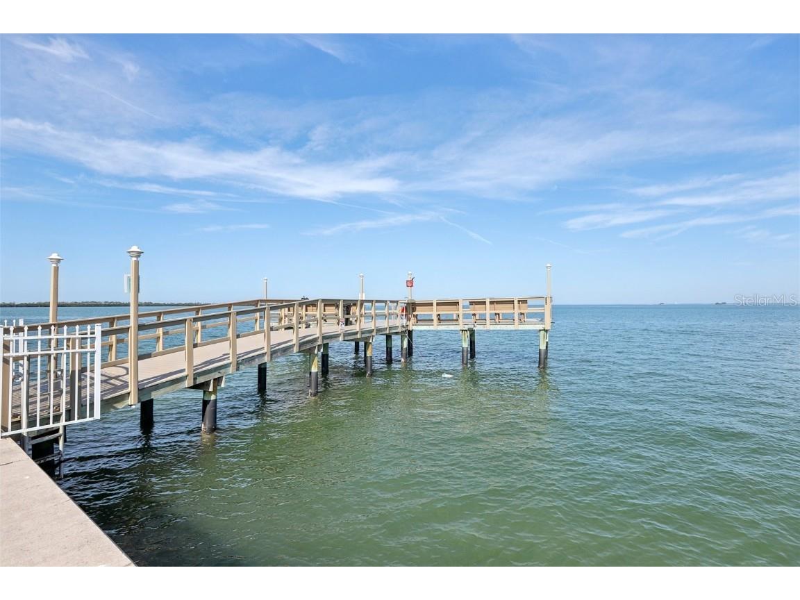 9 Haig Place #704 Dunedin FL 34698 TB8455842 image29