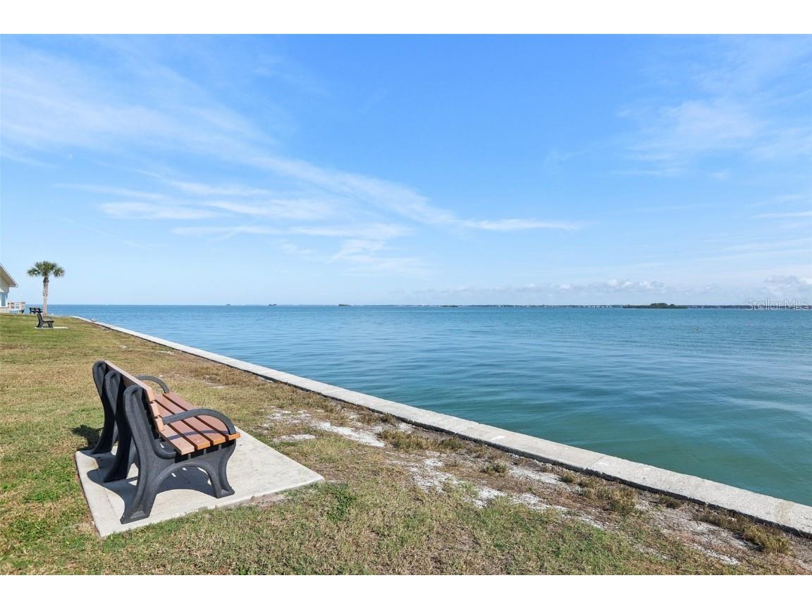 9 Haig Place #704 Dunedin FL 34698 TB8455842 image30