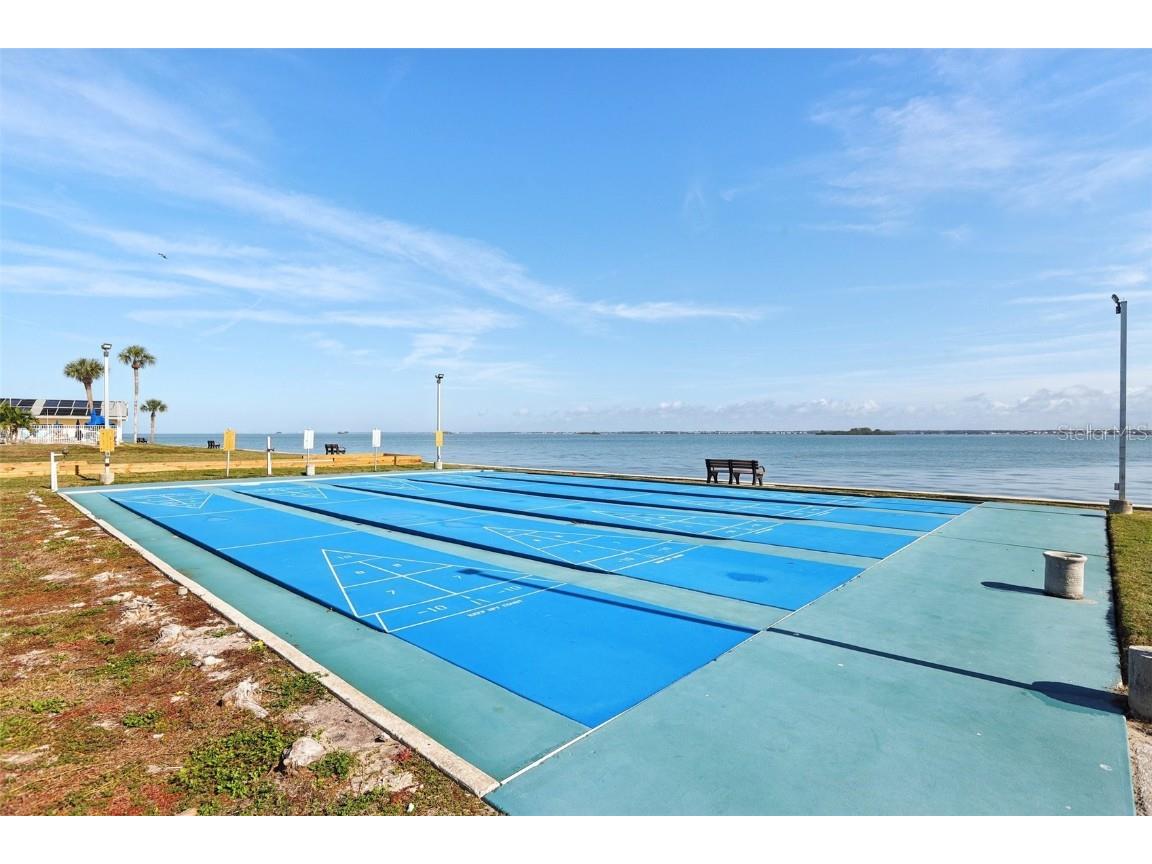 9 Haig Place #704 Dunedin FL 34698 TB8455842 image33