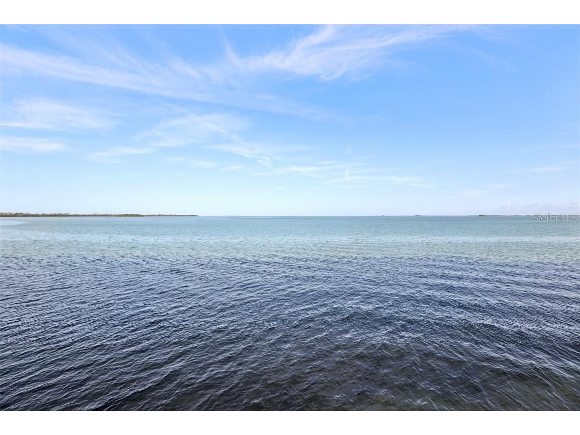 9 Haig Place #704 Dunedin FL 34698 TB8455842 image34