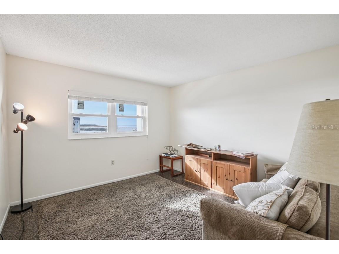 9 Haig Place #704 Dunedin FL 34698 TB8455842 image4