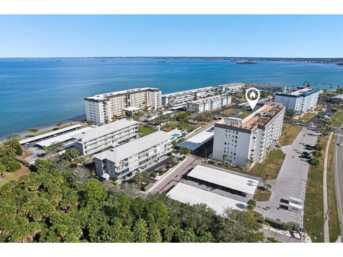 9 Haig Place #704 Dunedin FL 34698 TB8455842 image40
