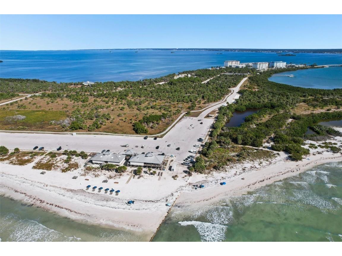 9 Haig Place #704 Dunedin FL 34698 TB8455842 image42