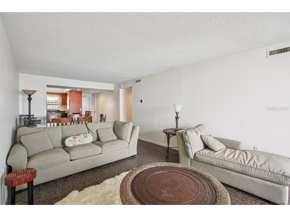 9 Haig Place #704 Dunedin FL 34698 TB8455842 image6