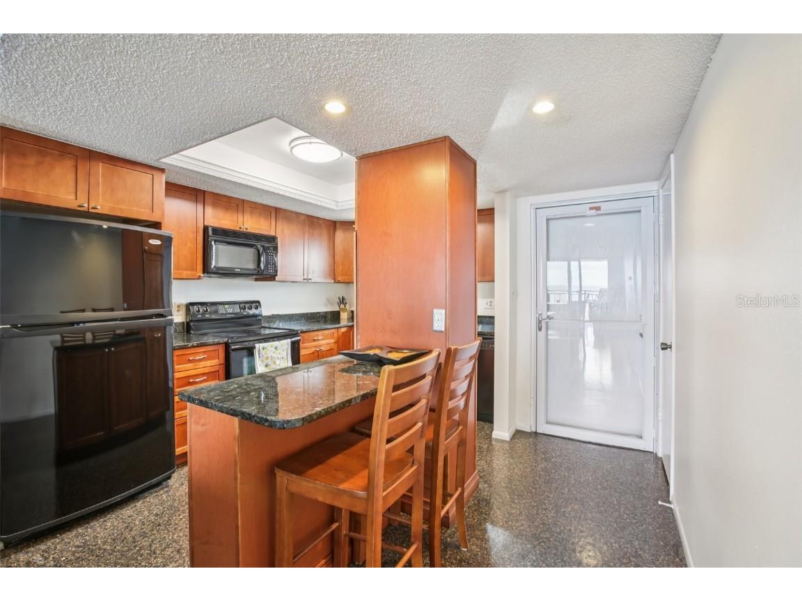 9 Haig Place #704 Dunedin FL 34698 TB8455842 image8