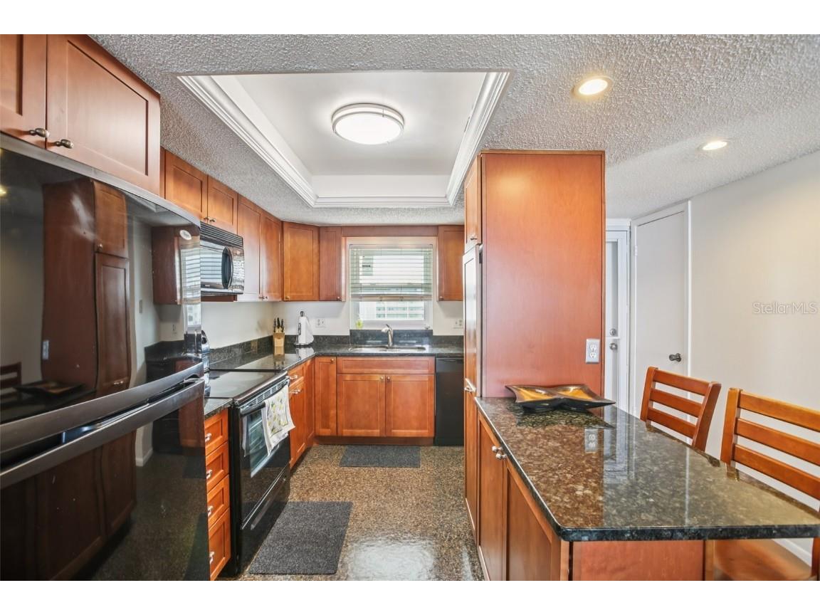 9 Haig Place #704 Dunedin FL 34698 TB8455842 image9