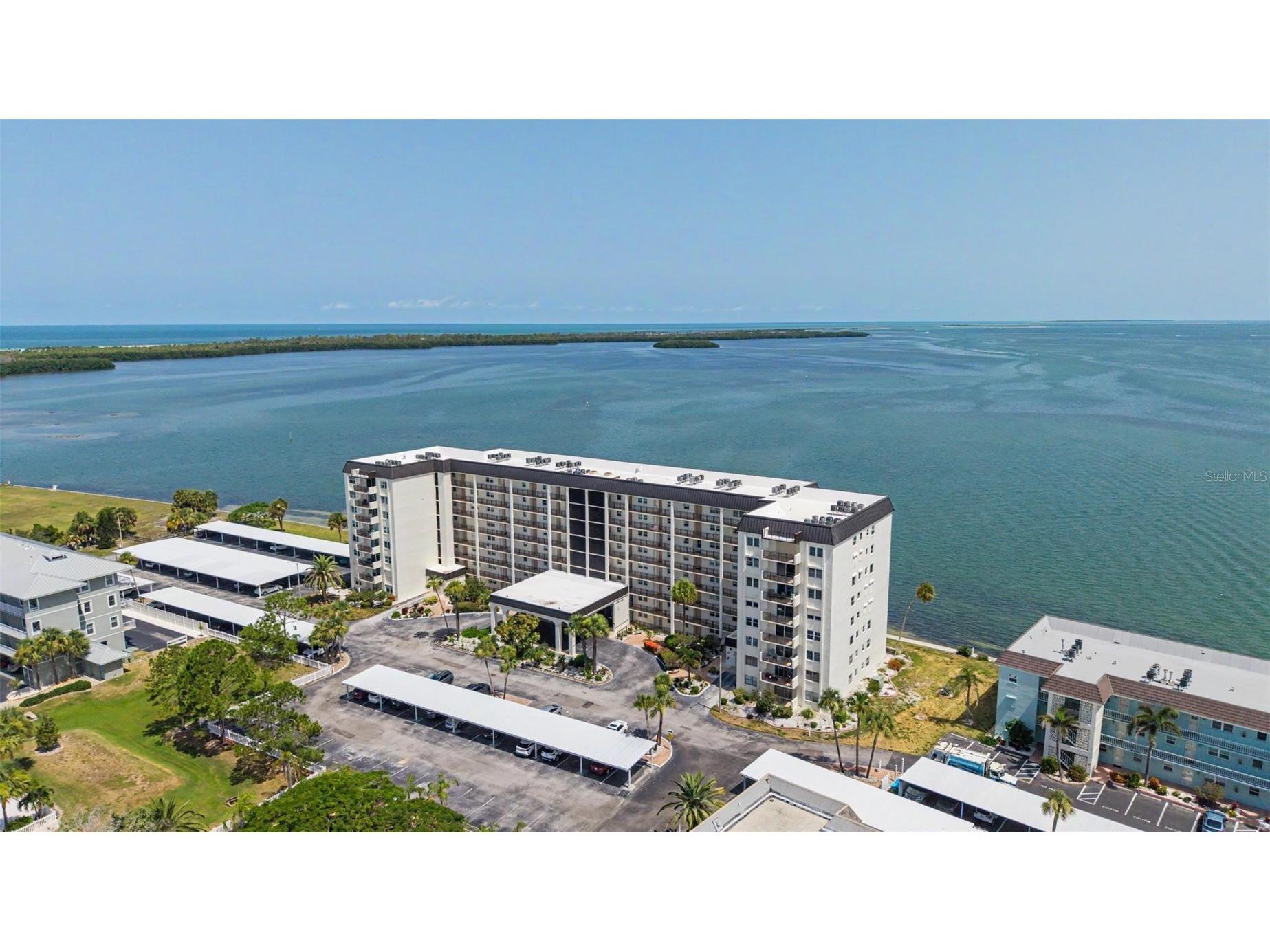 9 Haig Place #704 Dunedin FL 34698 - ST JOSEPH SOUNG TB8527158 image1