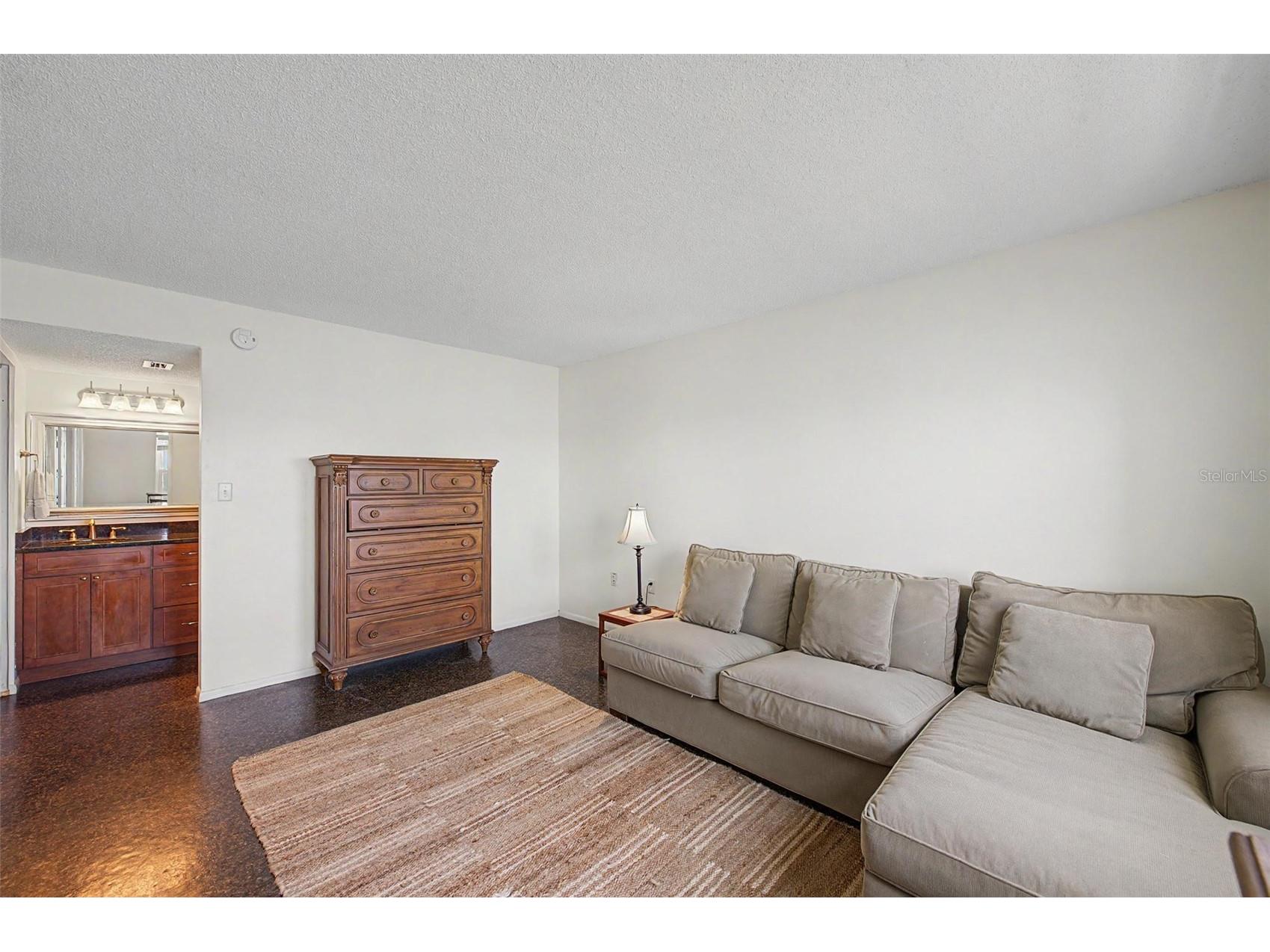 9 Haig Place #704 Dunedin FL 34698 - ST JOSEPH SOUNG TB8527158 image12
