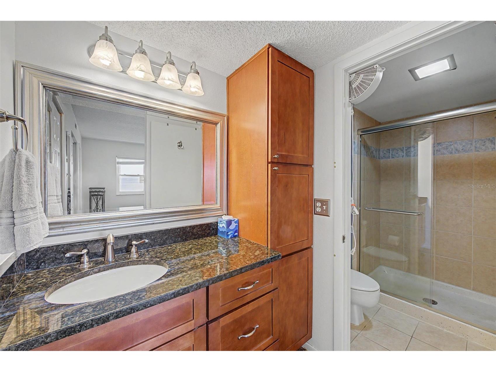 9 Haig Place #704 Dunedin FL 34698 - ST JOSEPH SOUNG TB8527158 image14