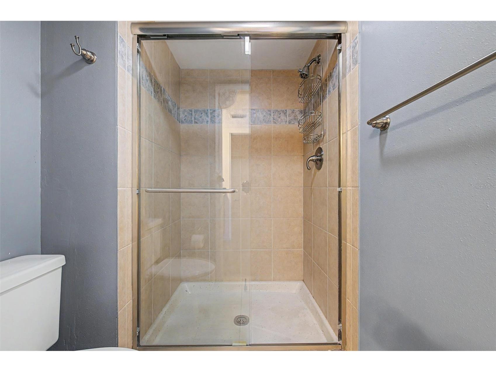 9 Haig Place #704 Dunedin FL 34698 - ST JOSEPH SOUNG TB8527158 image15