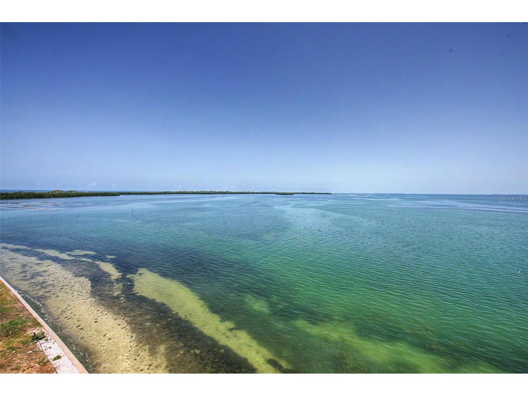 9 Haig Place #704 Dunedin FL 34698 - ST JOSEPH SOUNG TB8527158 image19