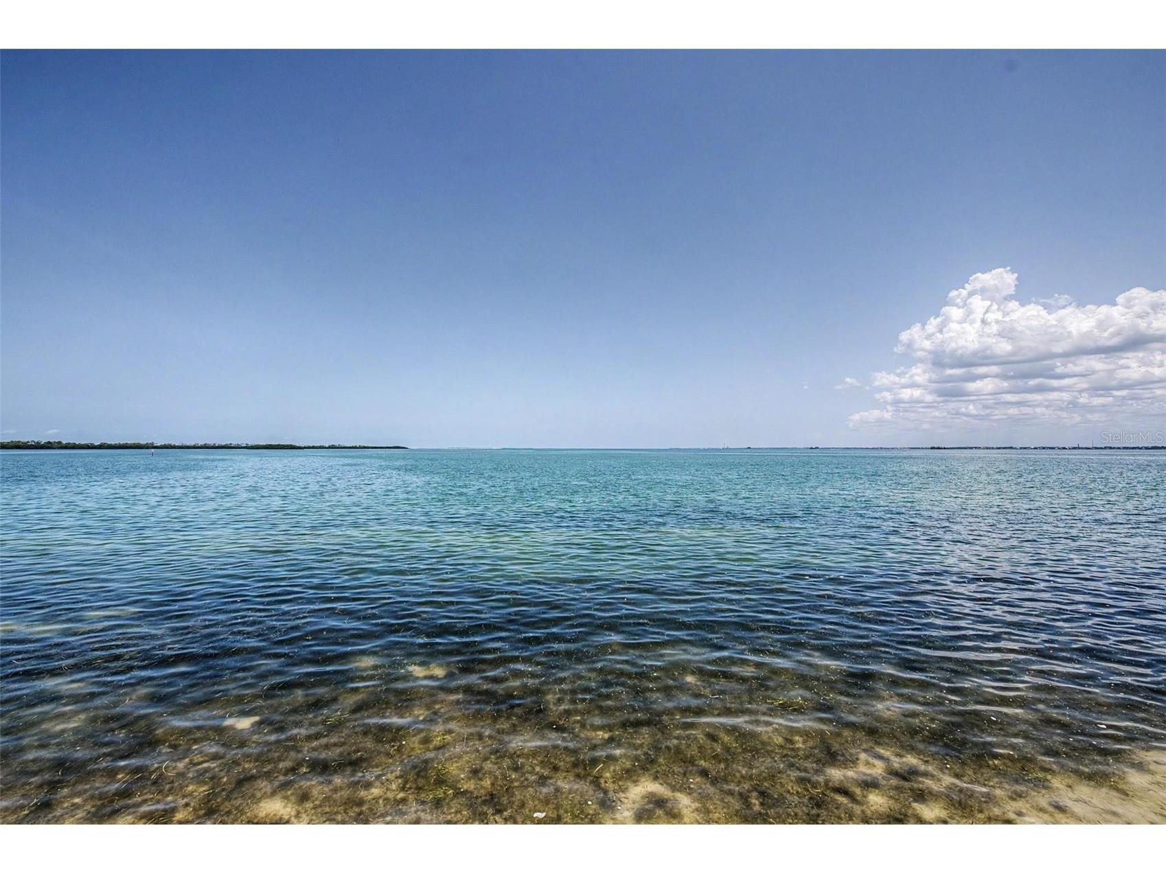 9 Haig Place #704 Dunedin FL 34698 - ST JOSEPH SOUNG TB8527158 image20