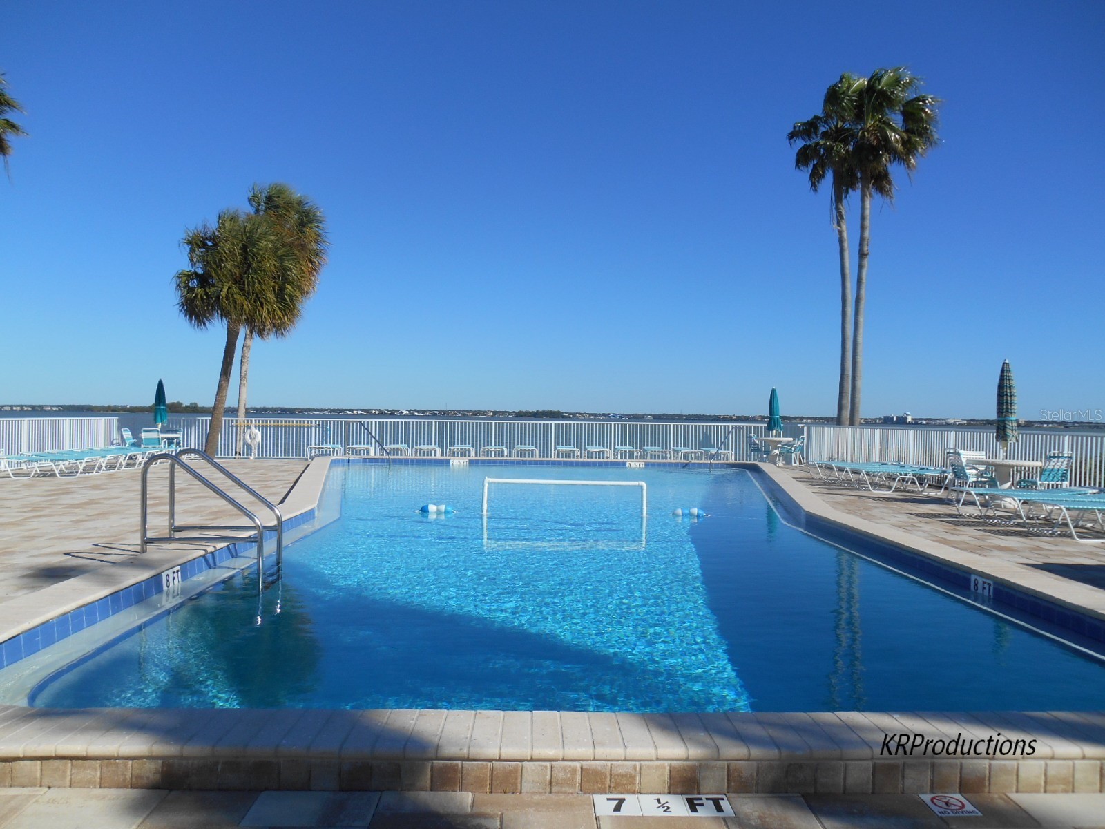 9 Haig Place #704 Dunedin FL 34698 - ST JOSEPH SOUNG TB8527158 image27