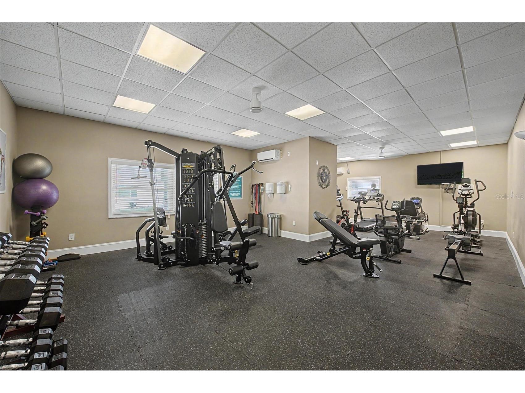 9 Haig Place #704 Dunedin FL 34698 - ST JOSEPH SOUNG TB8527158 image32