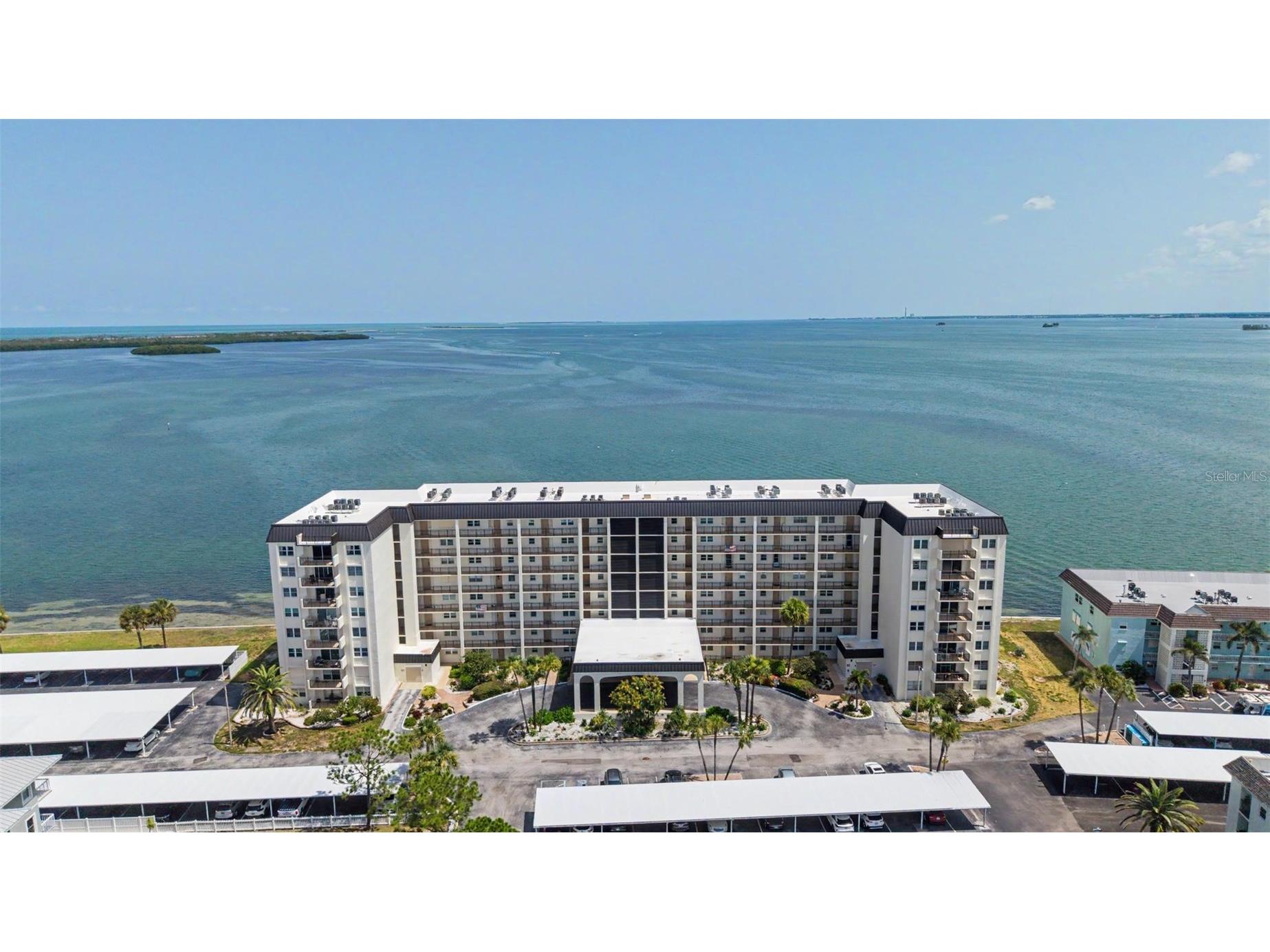 9 Haig Place #704 Dunedin FL 34698 - ST JOSEPH SOUNG TB8527158 image38