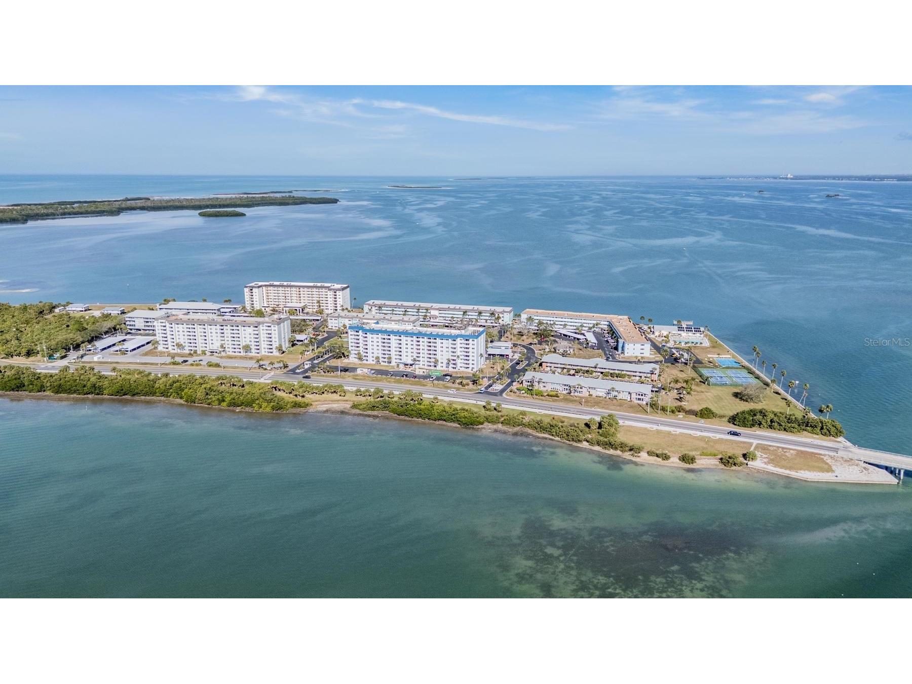 9 Haig Place #704 Dunedin FL 34698 - ST JOSEPH SOUNG TB8527158 image39