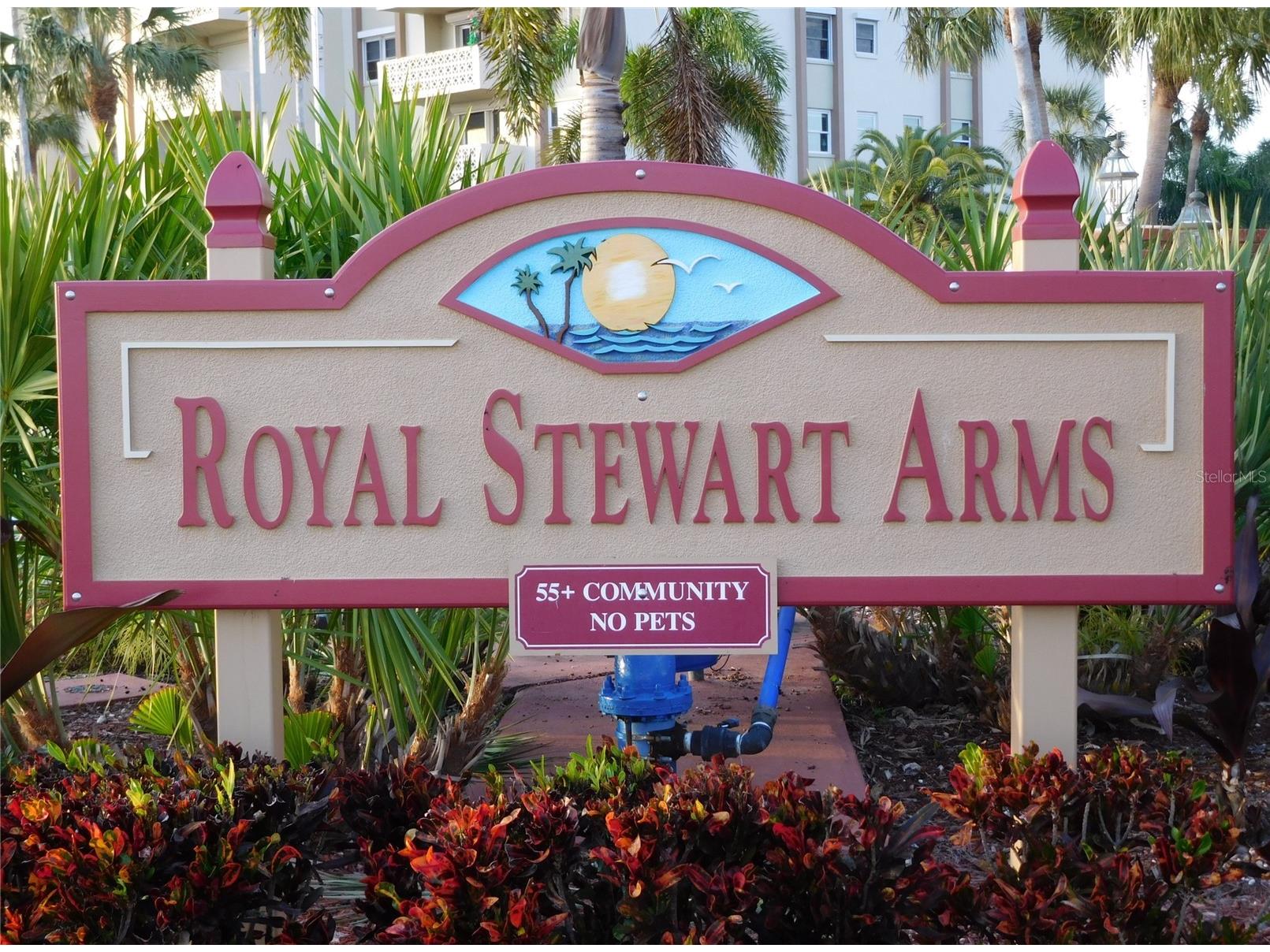 9 Haig Place #704 Dunedin FL 34698 - ST JOSEPH SOUNG TB8527158 image42