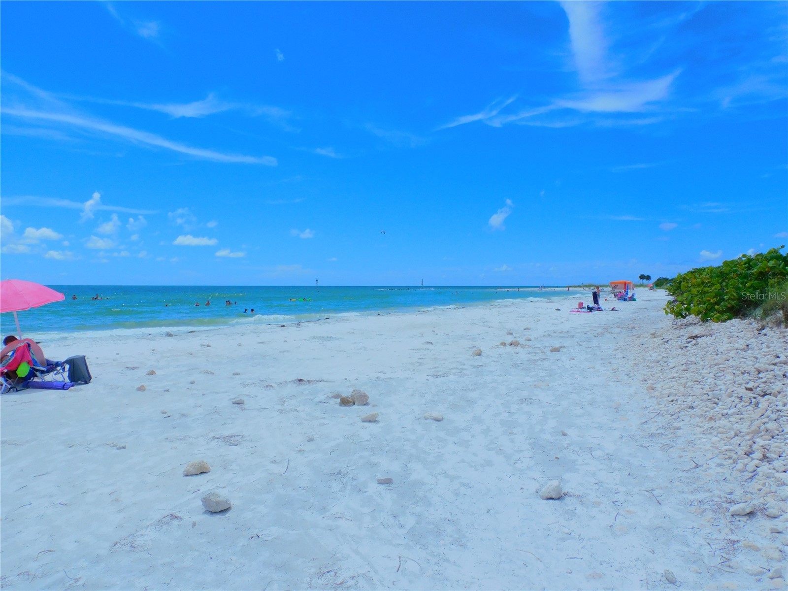 9 Haig Place #704 Dunedin FL 34698 - ST JOSEPH SOUNG TB8527158 image43