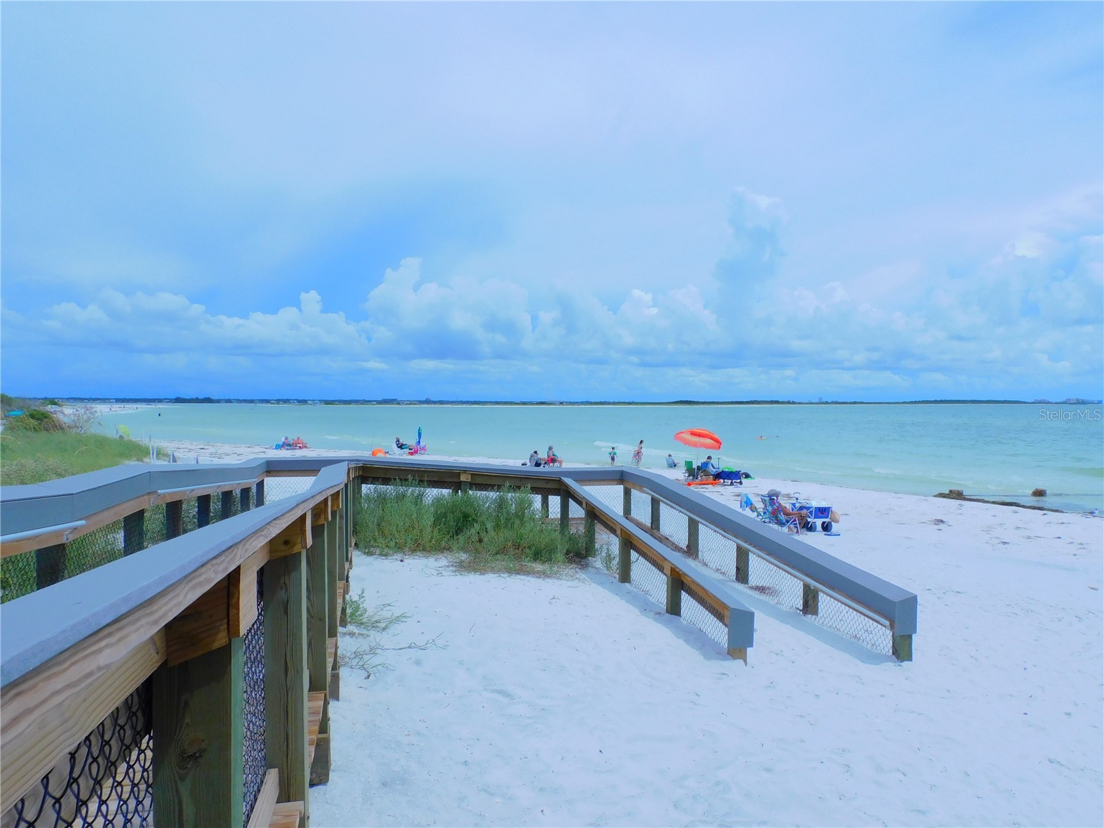 9 Haig Place #704 Dunedin FL 34698 - ST JOSEPH SOUNG TB8527158 image44
