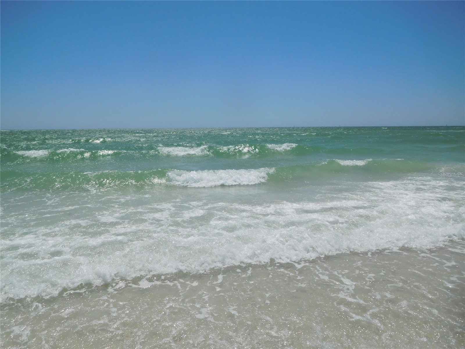 9 Haig Place #704 Dunedin FL 34698 - ST JOSEPH SOUNG TB8527158 image49