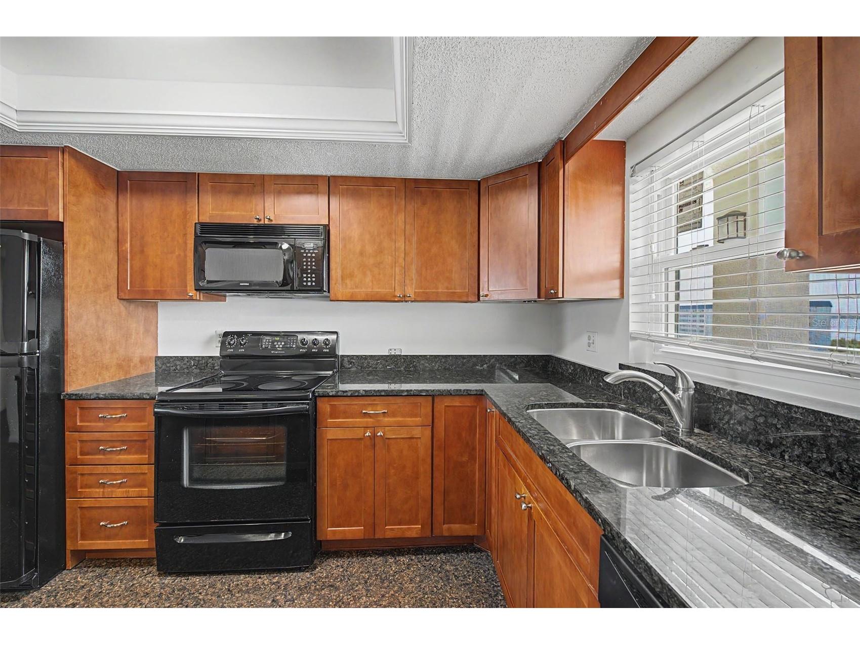 9 Haig Place #704 Dunedin FL 34698 - ST JOSEPH SOUNG TB8527158 image5