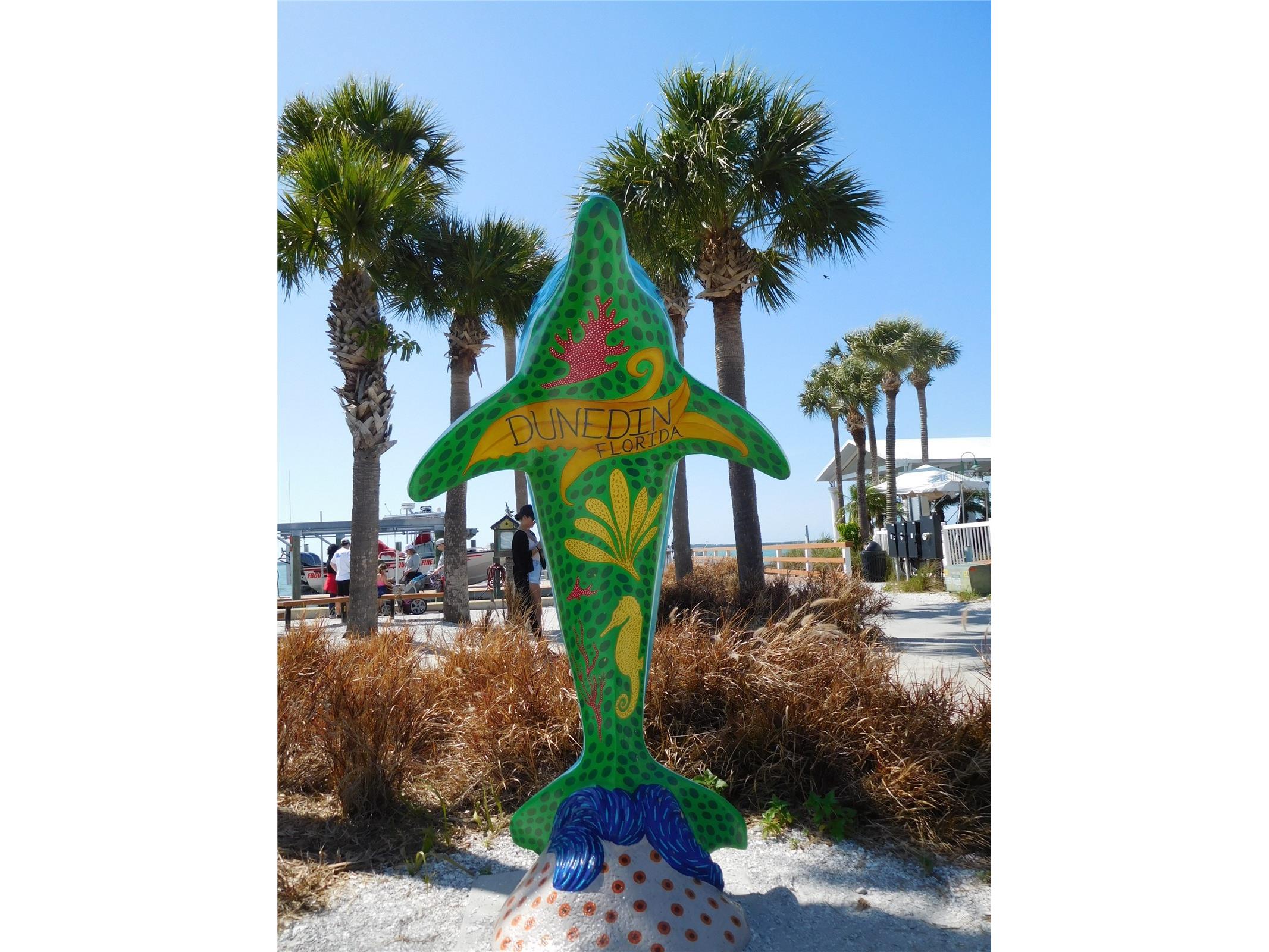 9 Haig Place #704 Dunedin FL 34698 - ST JOSEPH SOUNG TB8527158 image54