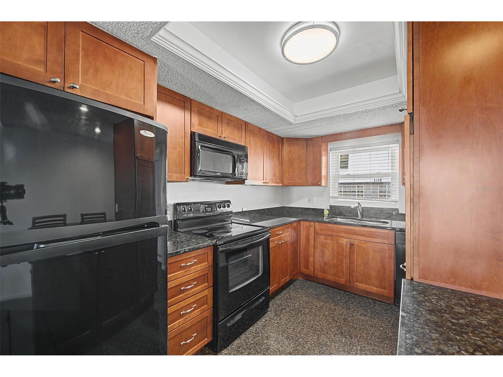 9 Haig Place #704 Dunedin FL 34698 - ST JOSEPH SOUNG TB8527158 image6